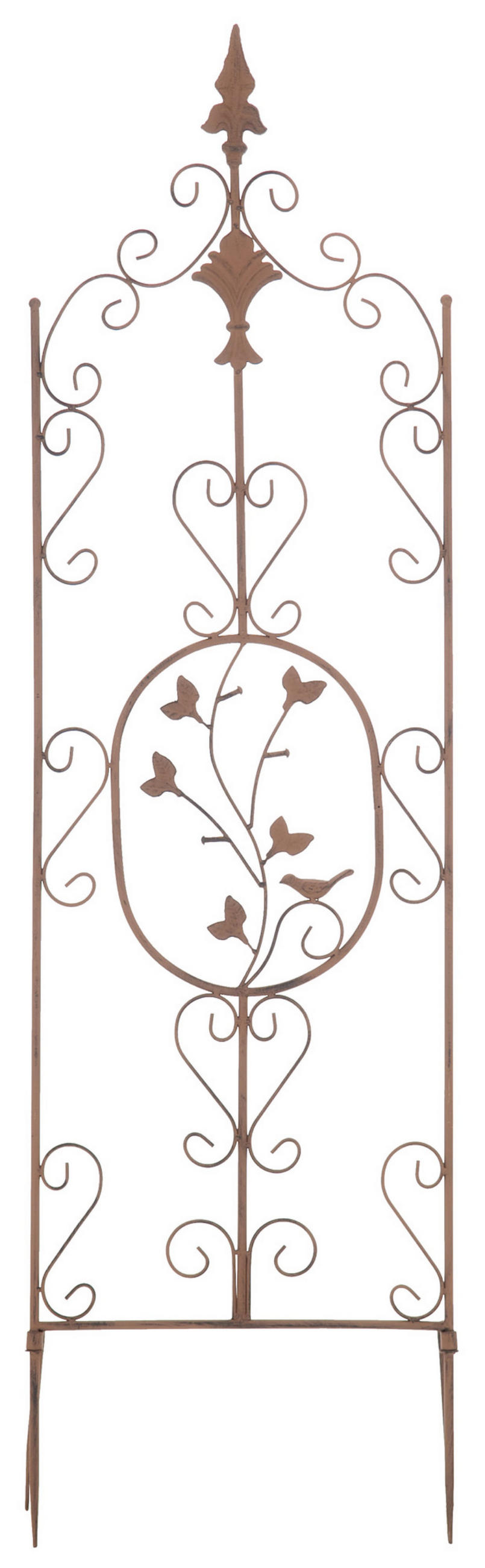 RANKGITTER Burk antik braun - Braun, Metall (35/122/7cm) - TPFGarden