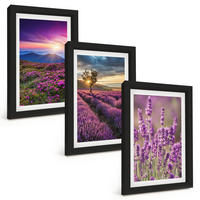BILDER SET 3er Set - 20x30 cm Schwarzer Rahmen - Sonnenuntergang auf Lavendelfeldern - Schwarz, Kunststoff (20/30cm) - TULUP