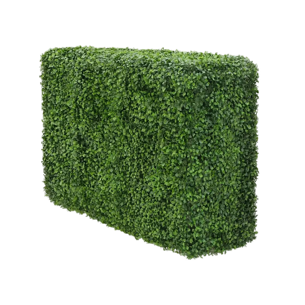 KUNSTPFLANZE Künstliche Buchsbaumhecke - Jonas 75x50 cm - Grün, Kunststoff (50cm) - aplanta