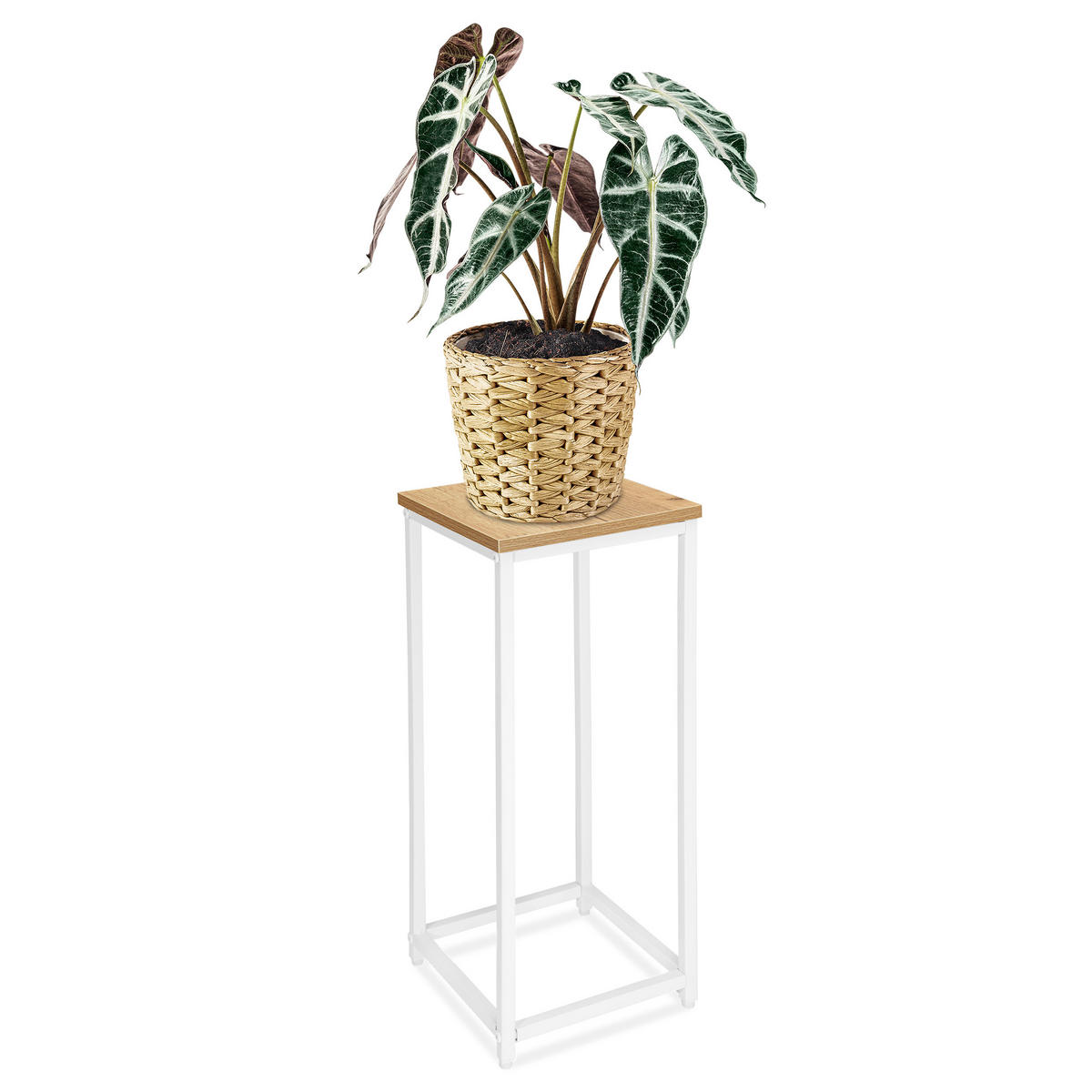 BLUMENSTÄNDER - Eichefarben, Holzwerkstoff/Metall (24/24/63cm) - Mat-Haus