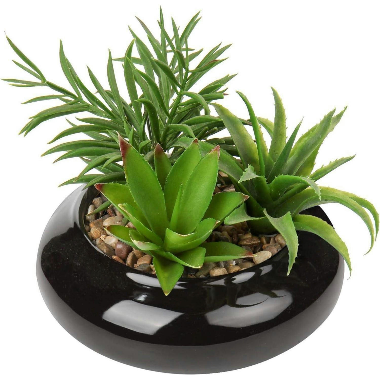 KUNSTPFLANZE Sukkulenten Arrangement im Keramiktopf 18 cm Schwarz - Schwarz, Keramik (18cm)