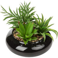 KUNSTPFLANZE Sukkulenten Arrangement im Keramiktopf 18 cm Schwarz - Schwarz, Keramik (18cm)