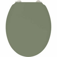 TOILETTENABDECKUNG grün - Grün, Kunststoff (38.3/4.9/46cm) - Gelco