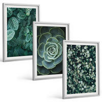BILDER SET 3er Set - 40x60 cm Silberner Rahmen - Sukkulenten - Silberfarben, Kunststoff (40/60cm) - TULUP