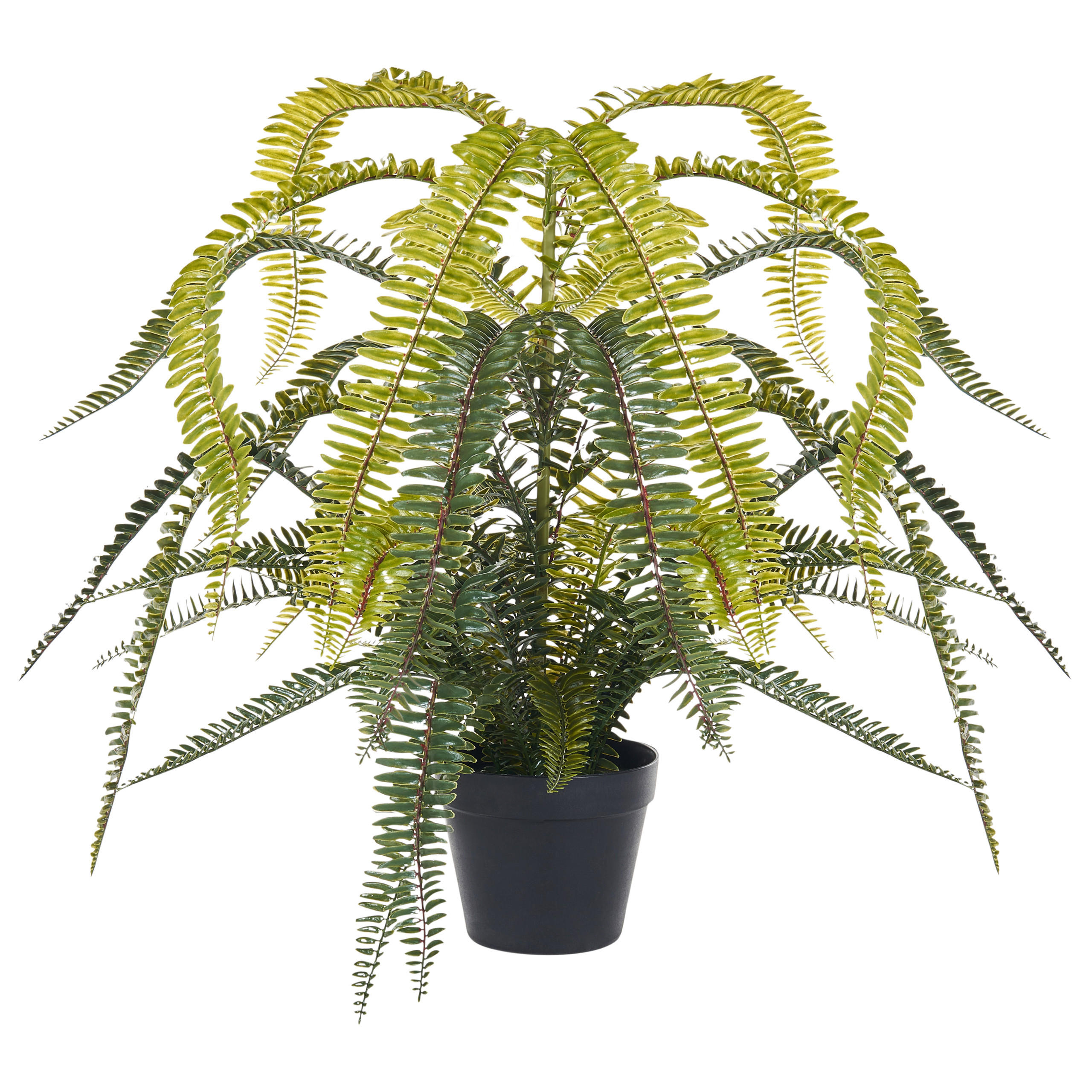 KUNSTPFLANZE im Blumentopf 105 cm Grün/Schwarz Fern Leaf Plant - Schwarz/Grün, Kunststoff (105cm) - Beliani