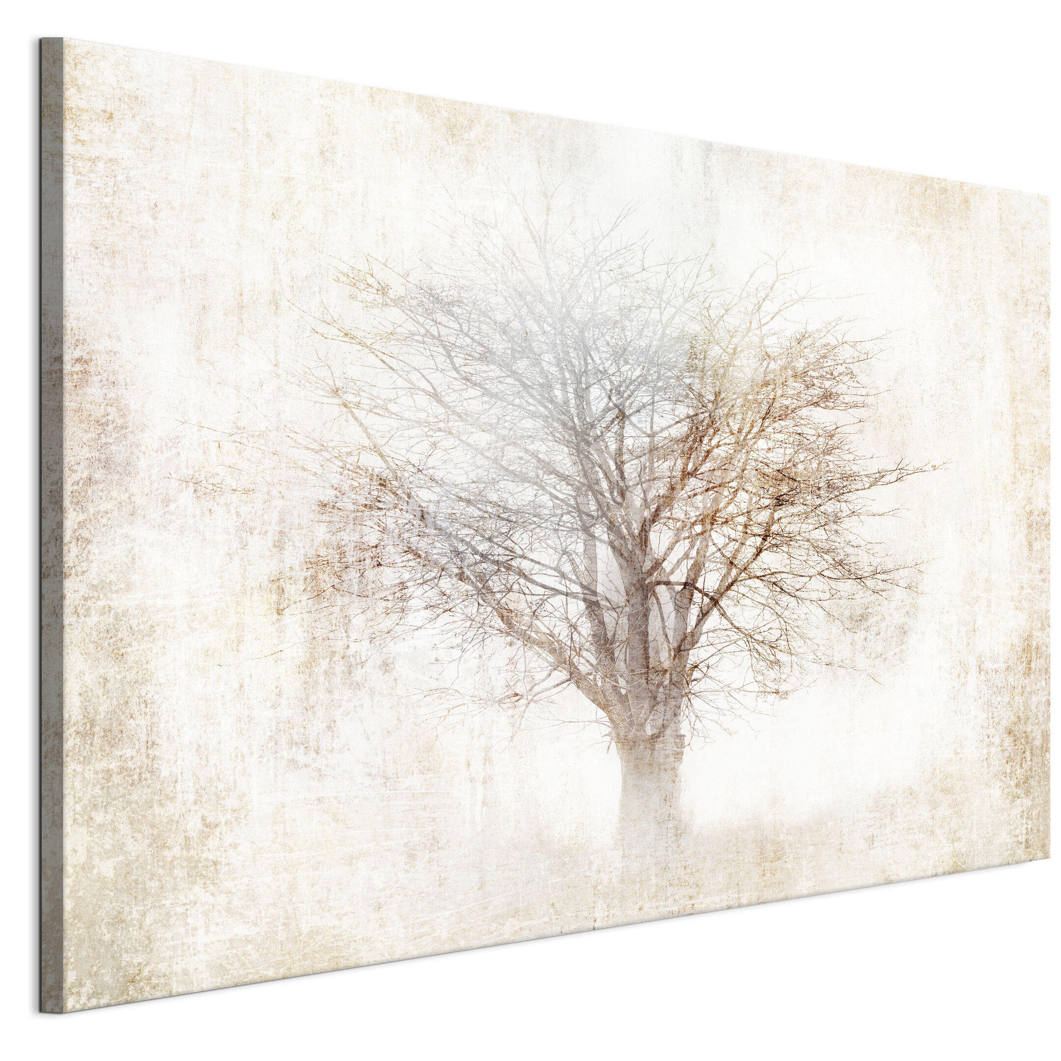 LEINWANDBILD Baum 90x60 cm - Multicolor, Holz (90/60cm) - LUMASOUL