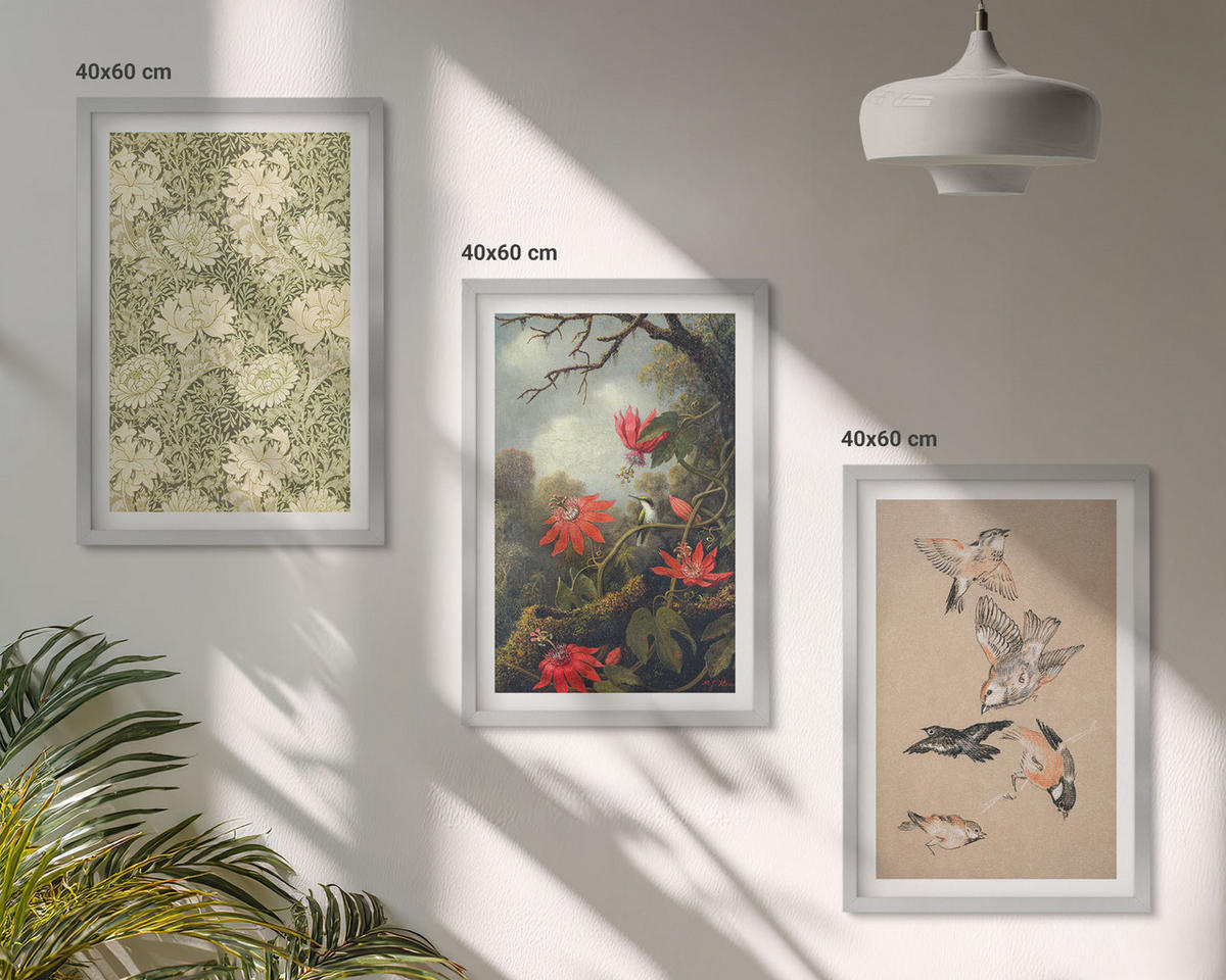 WANDBILDER 3er Set - 40x60 cm Silberner Rahmen - Blumen, Vögel, Natur - Silberfarben, Kunststoff (40/60cm) - ArtPrintCave