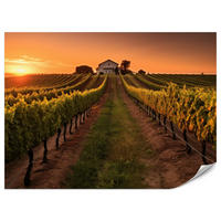 FOTOTAPETE für Esszimmer Weinberg Sonnenuntergang Obstgarten 450x315 - Gelb/Beige, Papier (450/315cm) - Muralo