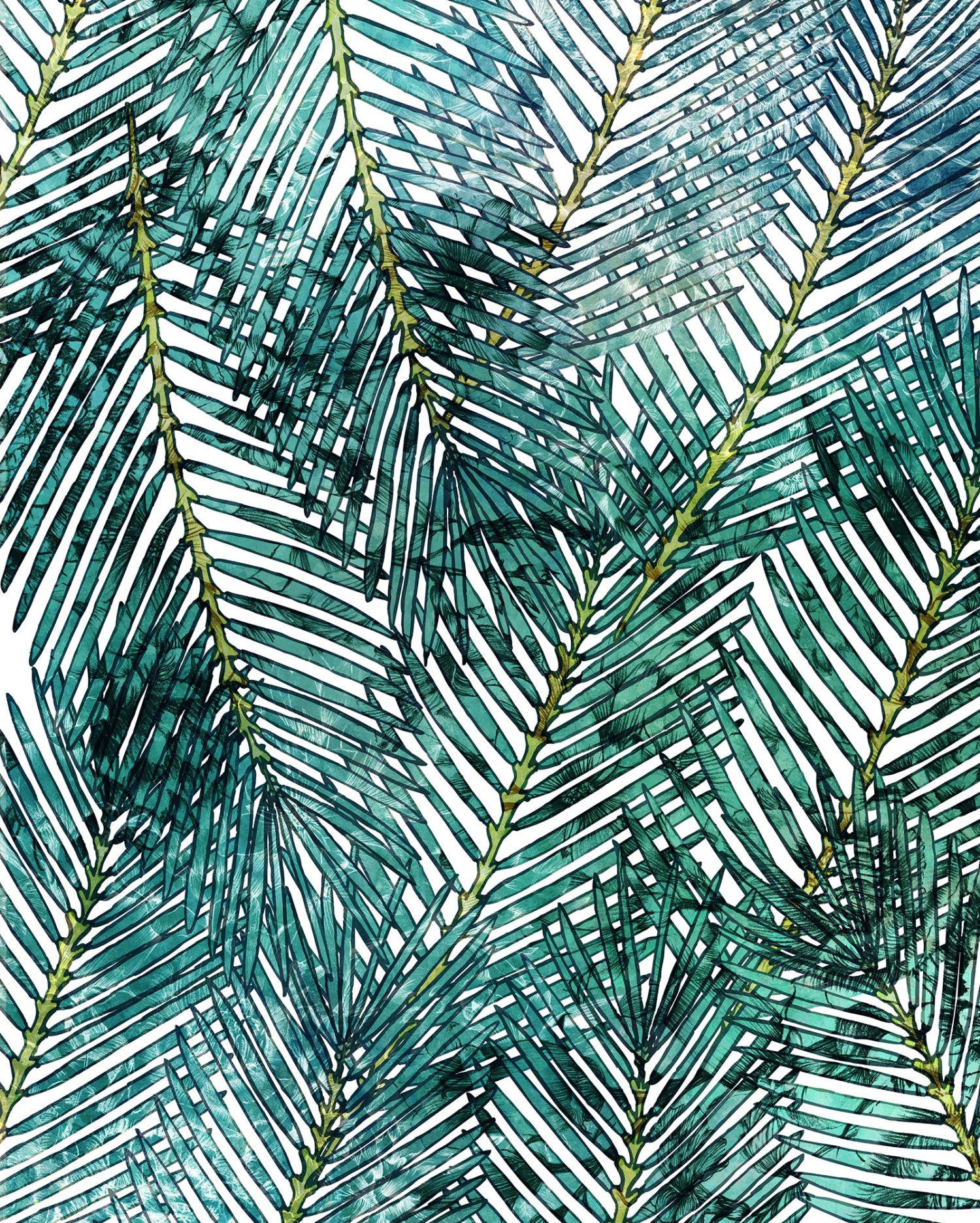 FOTOTAPETE Palmblätter 200 x 250 cm - Grün, Papier (200/250cm) - Sanders & Sanders