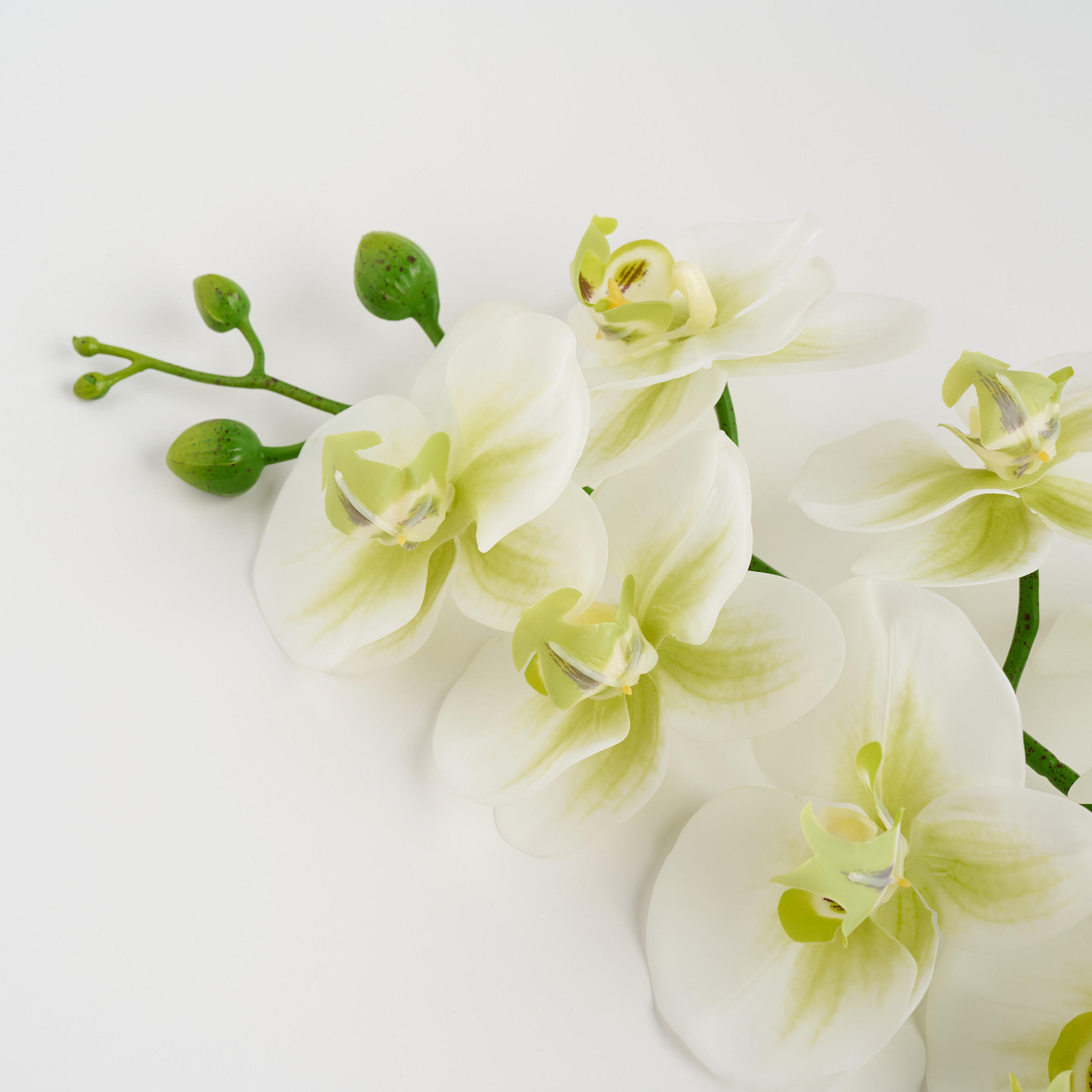 BLUME Orchstem - Weiß, Kunststoff (6cm) - home&you