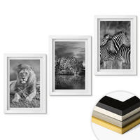 WANDBILDER 3er-Set - 20x30 cm Weißer Rahmen - Wildtiere der Savanne - Weiß, Kunststoff (20/30cm) - ArtPrintCave