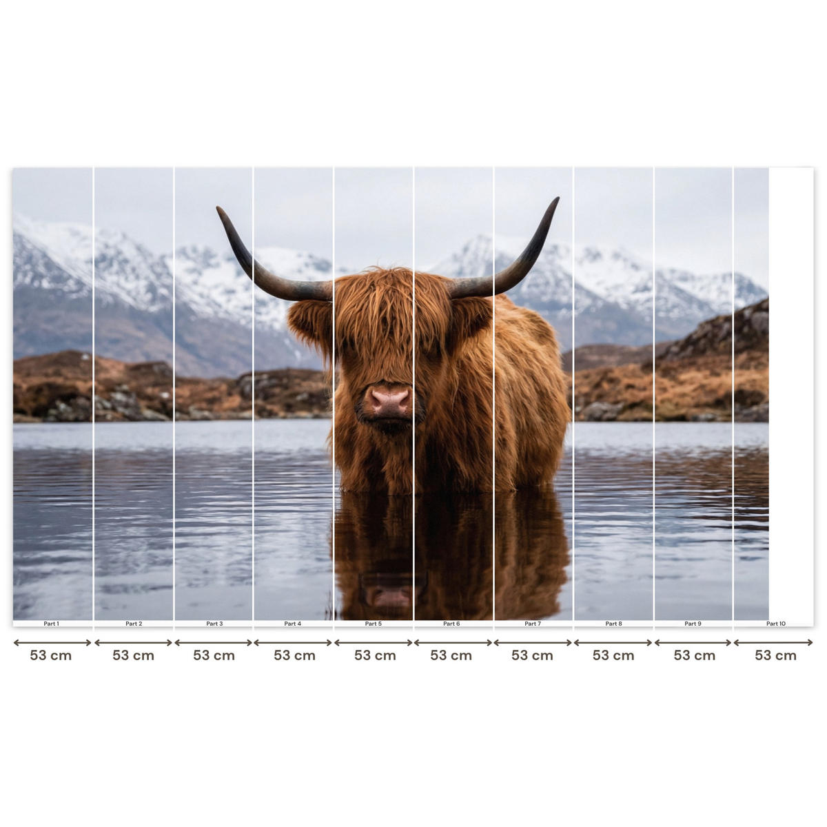 TAPETE - Schottischer Hochländer - Braun - Wasser - 500x300 cm - Braun, Papier (500/300cm) - OnlyWow