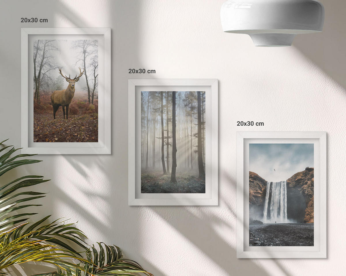 WANDBILDER 3er-Set - 20x30 cm Weißer Rahmen - Waldlandschaften, wilde Natur - Weiß, Kunststoff (20/30cm) - ArtPrintCave