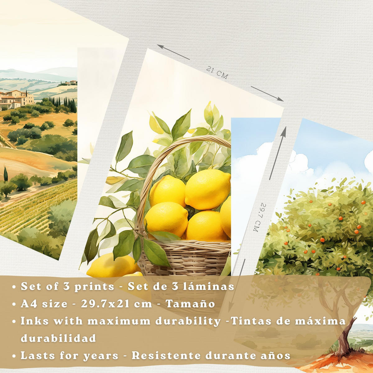 PLAKAT Sada 3 Pole A4 Bílý rám - bílá, papír (29.7/1/21cm) - Nacnic