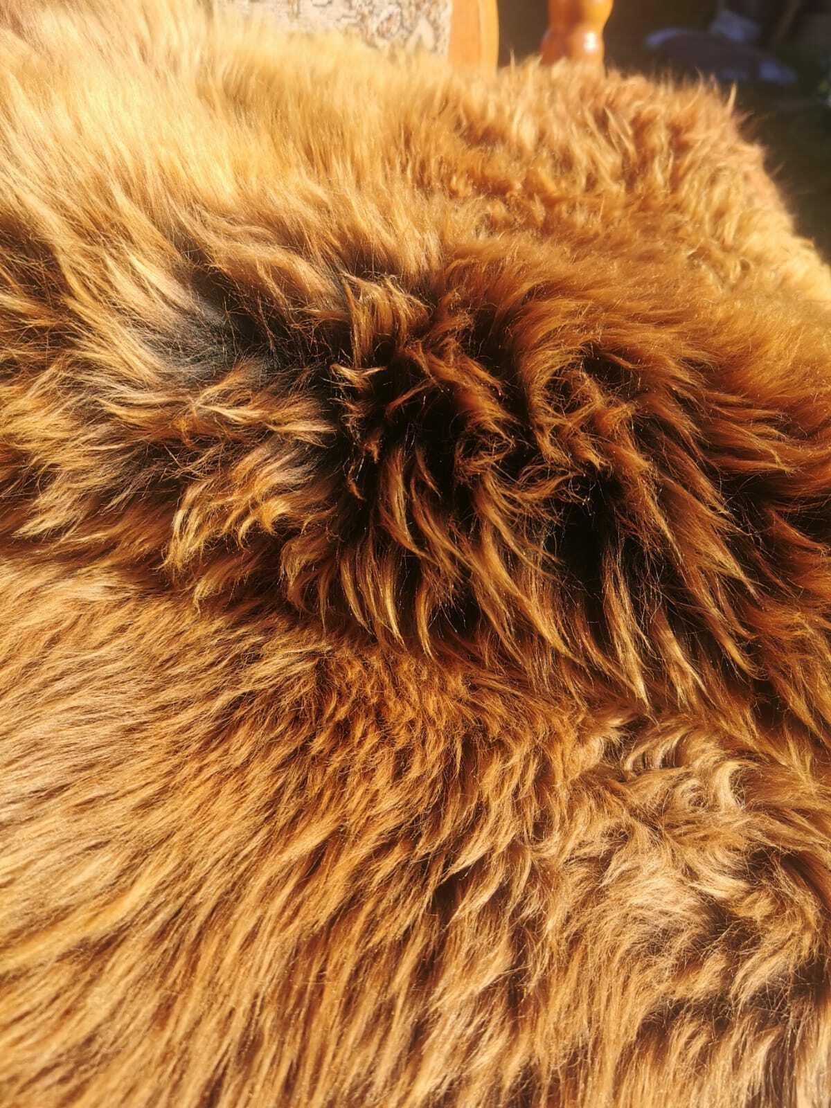 FELL Öko Lammfell Schaffell Gold Braun ca. 115 cm - Goldfarben/Braun, Fell (65/115cm) - Provellus