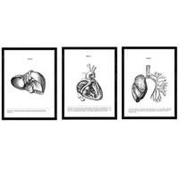 POSTER Set Mit 3 Leber, Herz, Lunge A3 Schwarzer Rahmen - Schwarz, Papier (29.7/5/42cm) - Nacnic