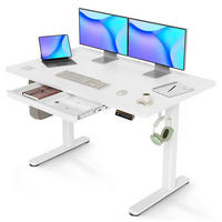 SCHREIBTISCH höhenverstellbar 120 x 60 cm mit Schublade und Memory-Funktion Weiß - Weiß, Holzwerkstoff (60/120/118cm)