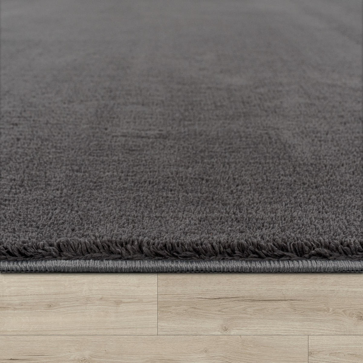 KURZFLORTEPPICH 200/200 cm Cadiz 630 - Anthrazit, Kunststoff (200/200cm) - Paco Home