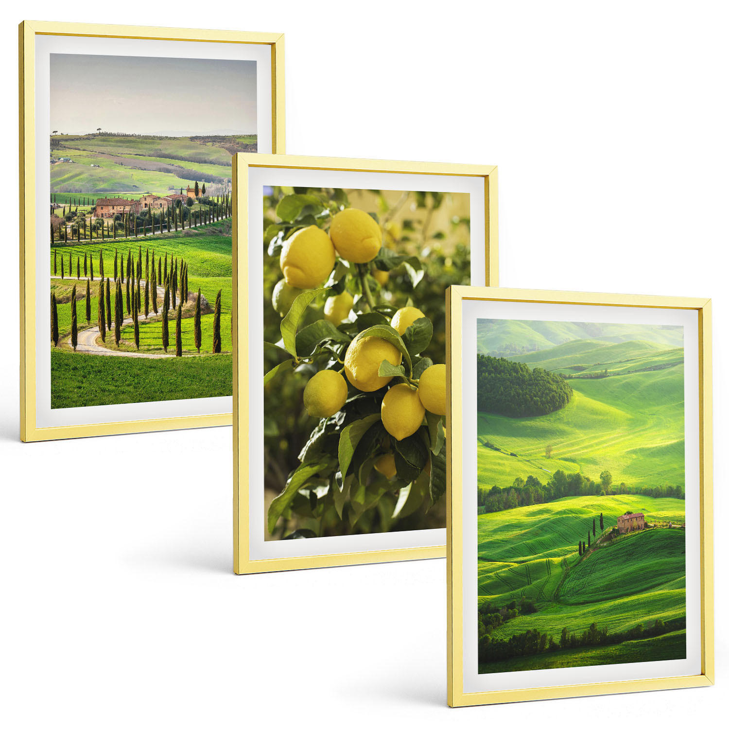 BILDER SET 3er Set - 40x60 cm Goldrahmen - Italienische Zitrusfrüchte und Hügel - Goldfarben, Kunststoff (40/60cm) - TULUP