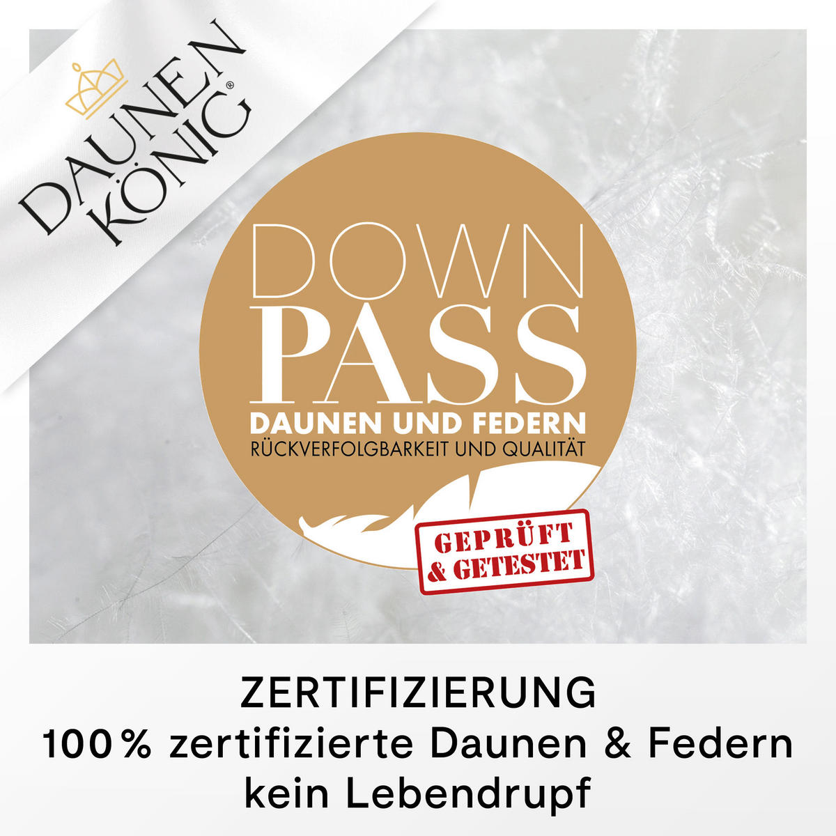 KINDERKISSEN ROYAL Gänsedaunen weich - Weiß, Naturmaterialien (40/80cm) - Daunenkönig