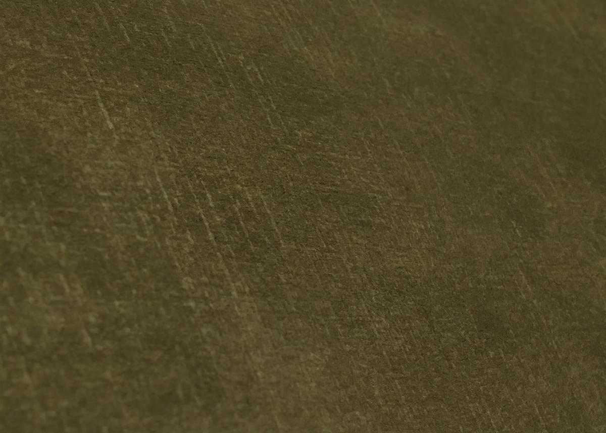 ESSZIMMERSTUHL Olive 2er-Set - Olivgrün/Grün, Textil (57/85/60cm) - MCW