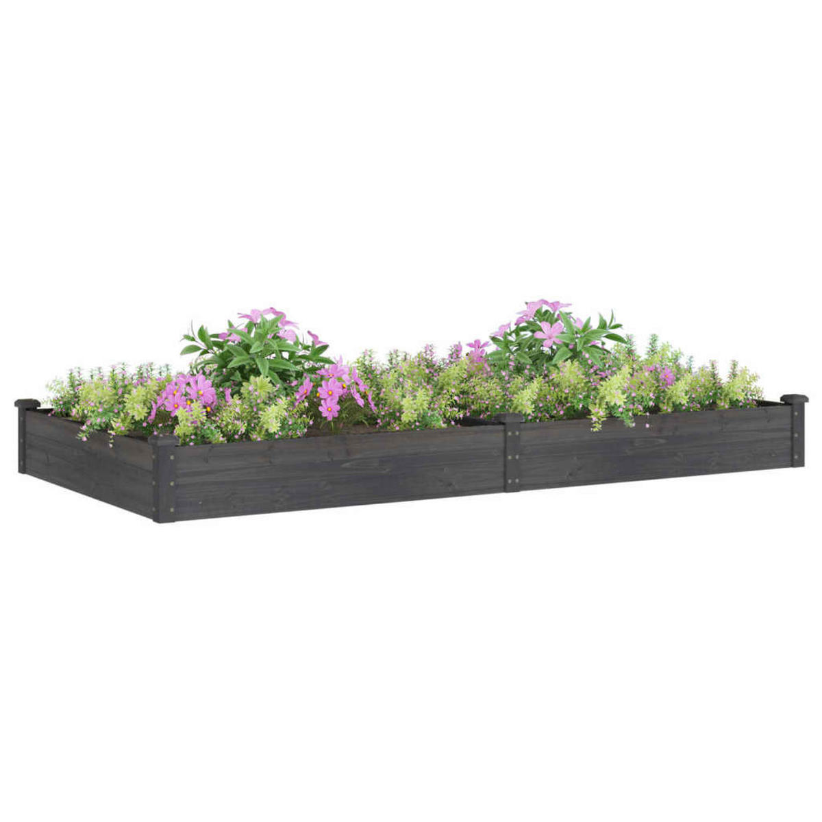 HOCHBEET mit Einsatz Grau 240x120x25 cm Massivholz Tanne - Grau, Holz (240/25/120cm)