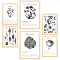 POSTER Set Mit 6 Dekorative Von Pilzarten Blatt Mit A3 & A4 Rahmen Aus Hellem Holz - Beige, Papier (29/3cm) - Nacnic