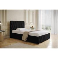POLSTERBETT Ray 120 x 200 cm mit Bettkasten und Lattenrost taschenfederkernmatratze 24cm - schwarz - Schwarz, Holz (120/200cm) - Homesy