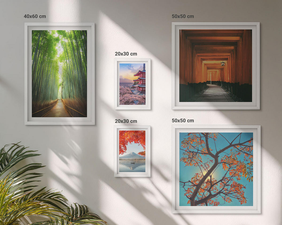 WANDBILDER 5er-Set - 50x50 cm & 20x30 cm & 40x60 cm Weißer Rahmen - Meerblick, farbenfrohe Häuser - Weiß, Kunststoff (40/60cm) - ArtPrintCave