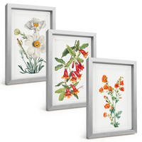 BILDER SET 3er Set - 20x30 cm Silberner Rahmen - Retro-Blumenarrangements - Silberfarben, Kunststoff (20/30cm) - TULUP
