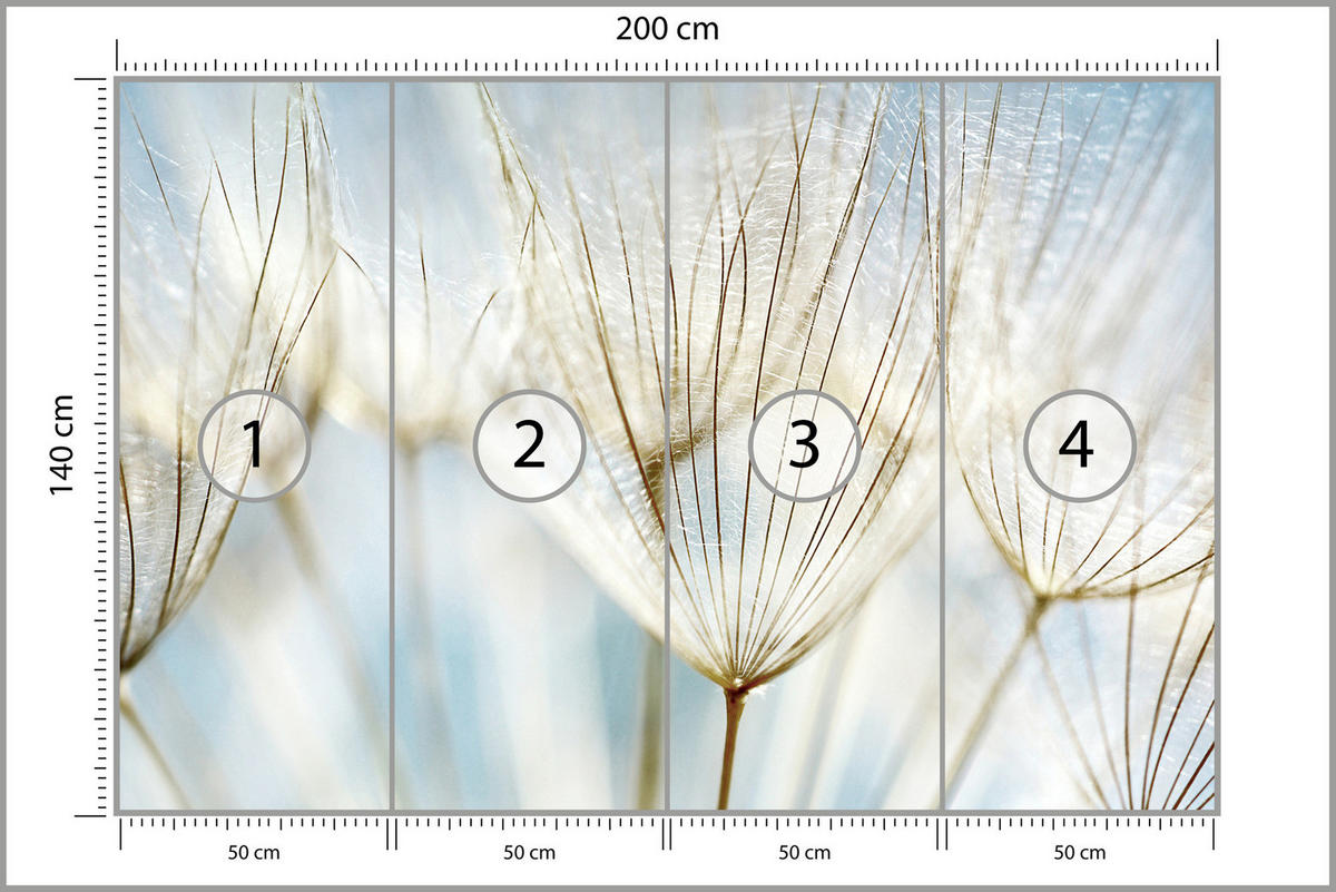 FOTOTAPETE für Wohnzimmer Löwenzahn Pflanzen Natur 200x140 - Blau/Beige, Papier (200/140cm) - Muralo