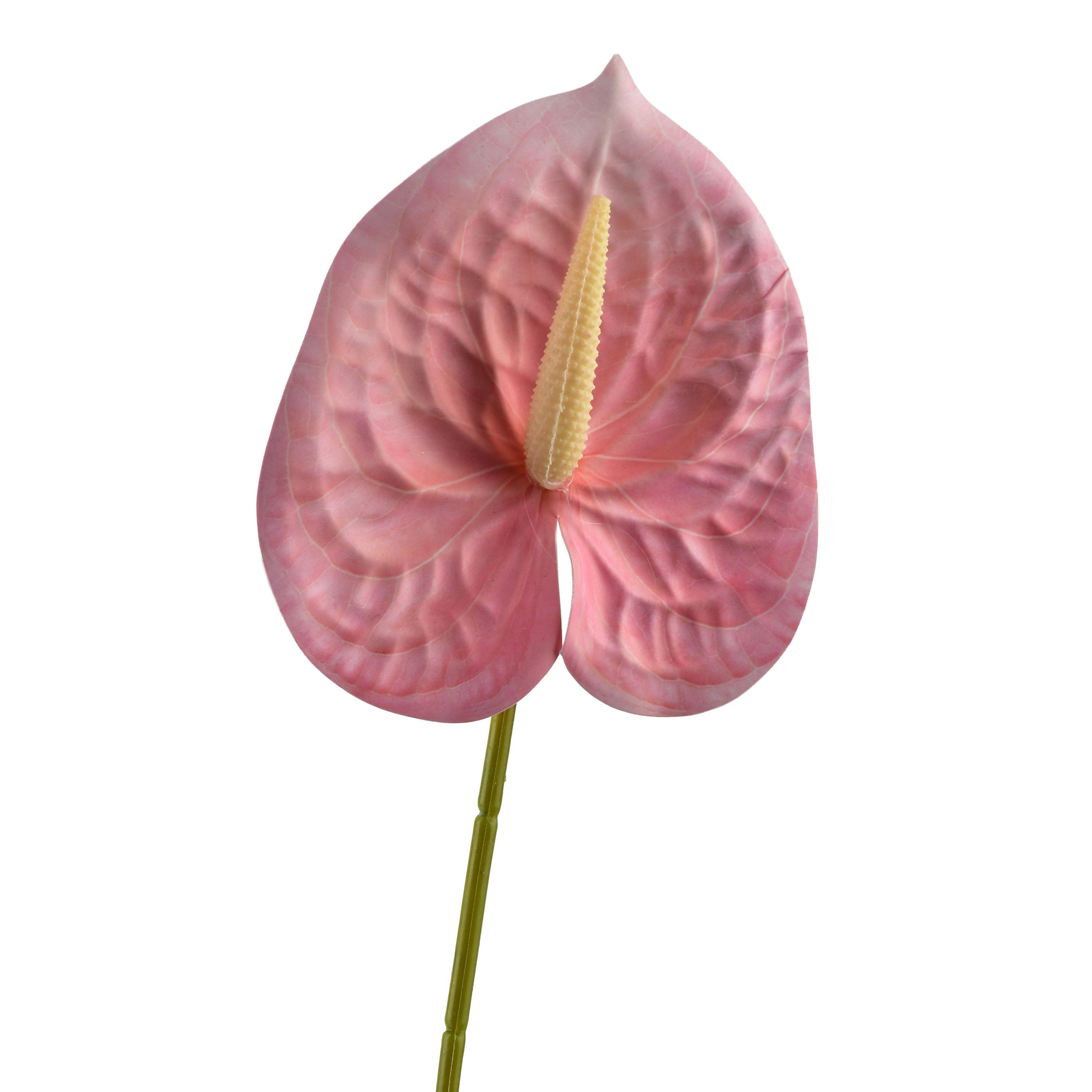 KUNSTBLUME Viridis 60cm Rosa - Rosa, Kunststoff (60cm) - Mondex