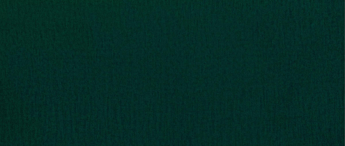 ECKSOFA Ravini Grün, mit Schlaffunktion, linke seite - Grün, Holzwerkstoff (253/156cm) - Bettso