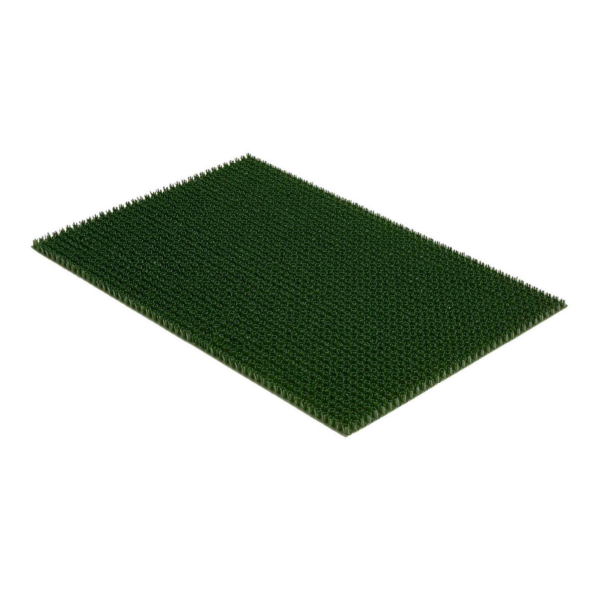FUSSMATTE für Außen ZOE 3ER SET - Grün, Textil (40/60cm) - Astra
