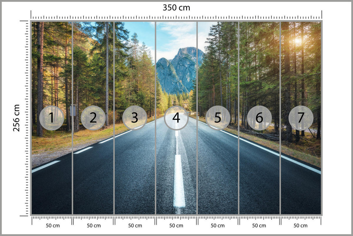 FOTOTAPETE für Wohnzimmer Asphaltstraße Bergwald Bäume Pflanzen 350x256 - Gelb/Schwarz, Papier (350/256cm) - Muralo