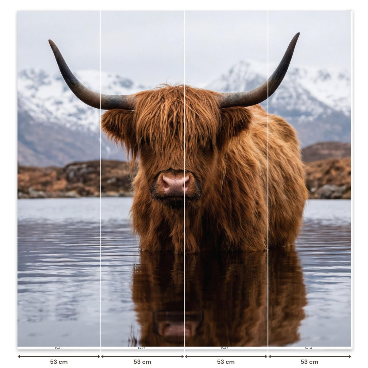 TAPETE - Schottischer Hochländer - Braun - Wasser - 200x200 cm - Braun, Papier (200/200cm) - OnlyWow