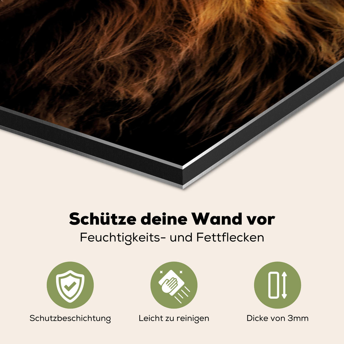SPRITZSCHUTZ KÜCHE Schottischer Highlander - Hörner - Schwarz - Tiere - Natur - Wild - Kuh 60x40 cm - Cognac, Metall (60/0.3/40cm) - MuchoWow