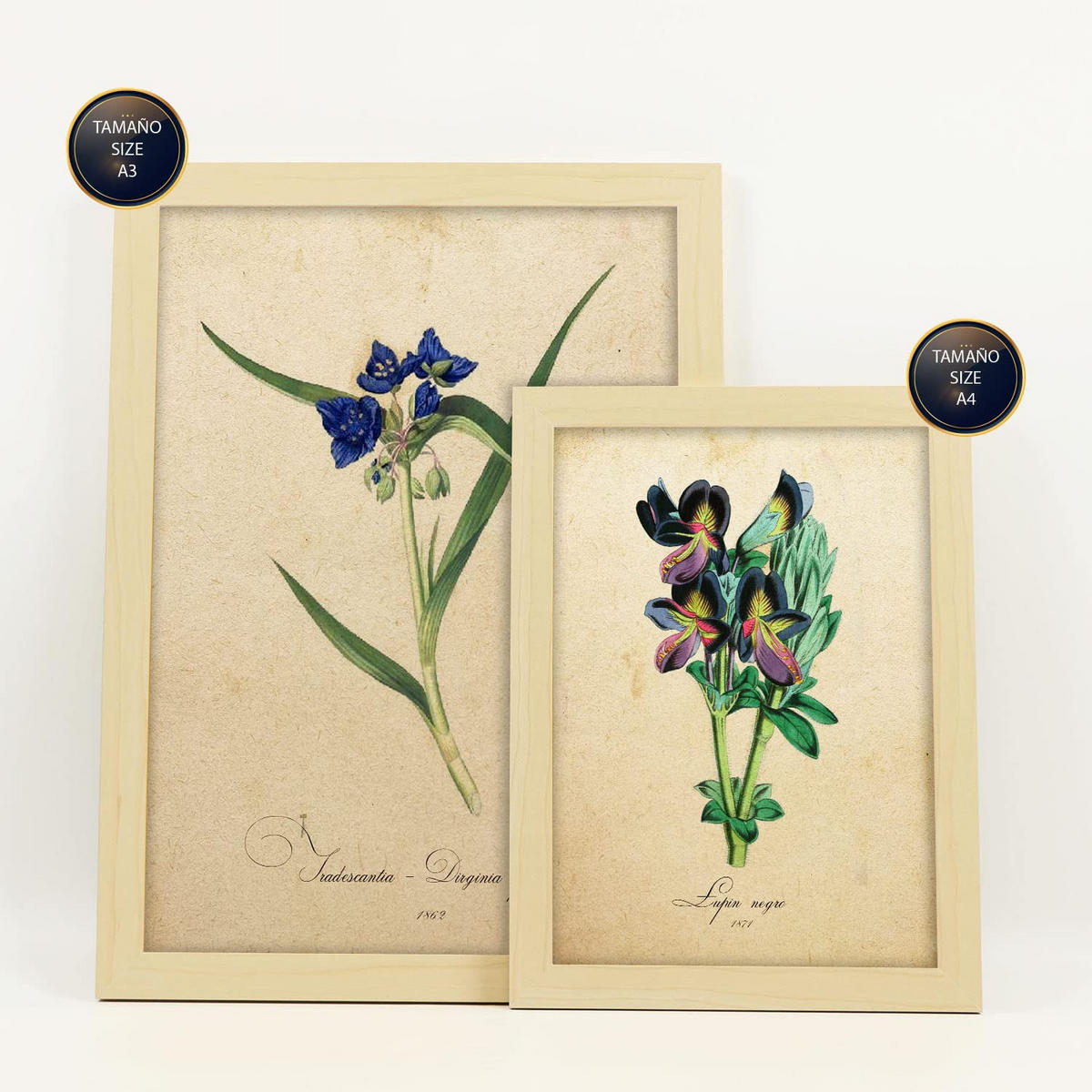 POSTER Set Mit 6 Blumen in Blau, Rot und Orange Größe A3 & A4 Rahmen aus hellem Holz - Beige, Papier (29.7/1cm) - Nacnic