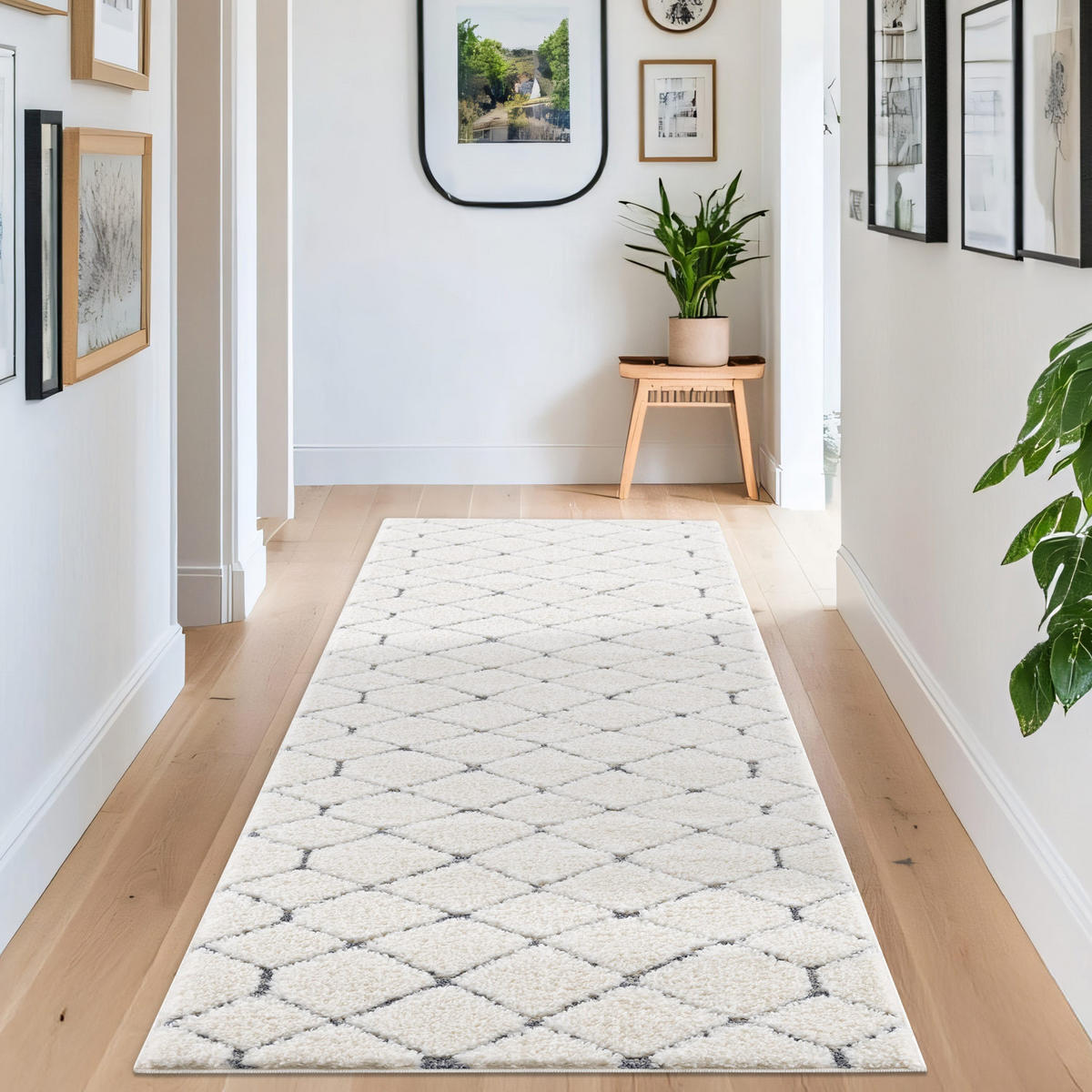 HOCHFLOR-TEPPICH Focus 4499 Creme 80x300 cm - Creme, Textil (80/300cm) - carpet city