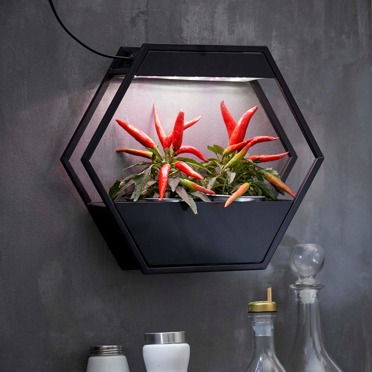 LED-PFLANZENLAMPE - Metallgestell im Industrial-Look mit Timer für Kräutergarten und Innengarten - Schwarz, Metall (37.6/32.5/10cm) - Northpoint