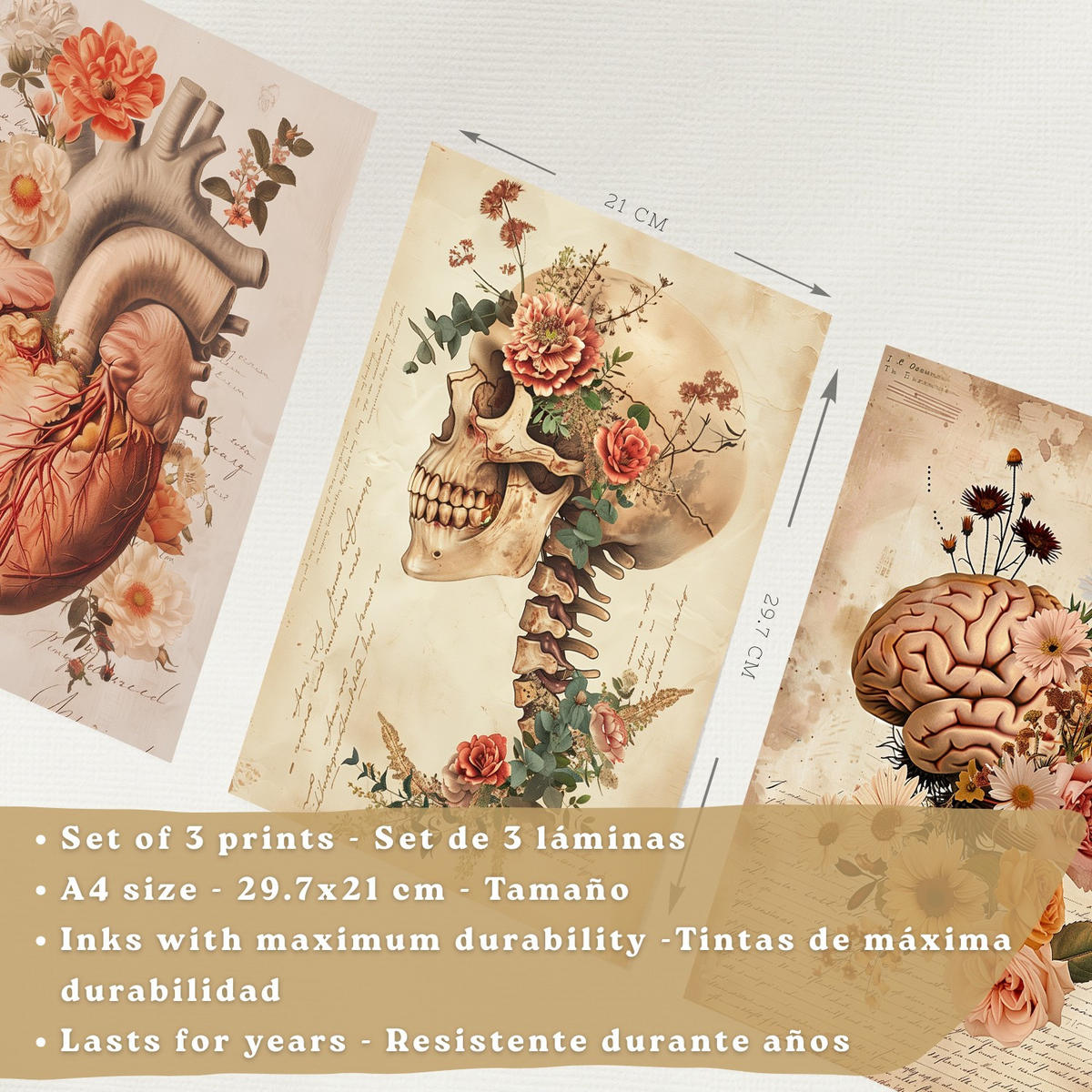 POSTER Set aus 3 Anatomie Mensch Drucke und Wandbilder mit Herz Gehirn und Schädel Vintage Floraler Stil Wanddekoration Größe Rahmenlos A4 - Klar, Papier (21/29.7/3cm) - Nacnic