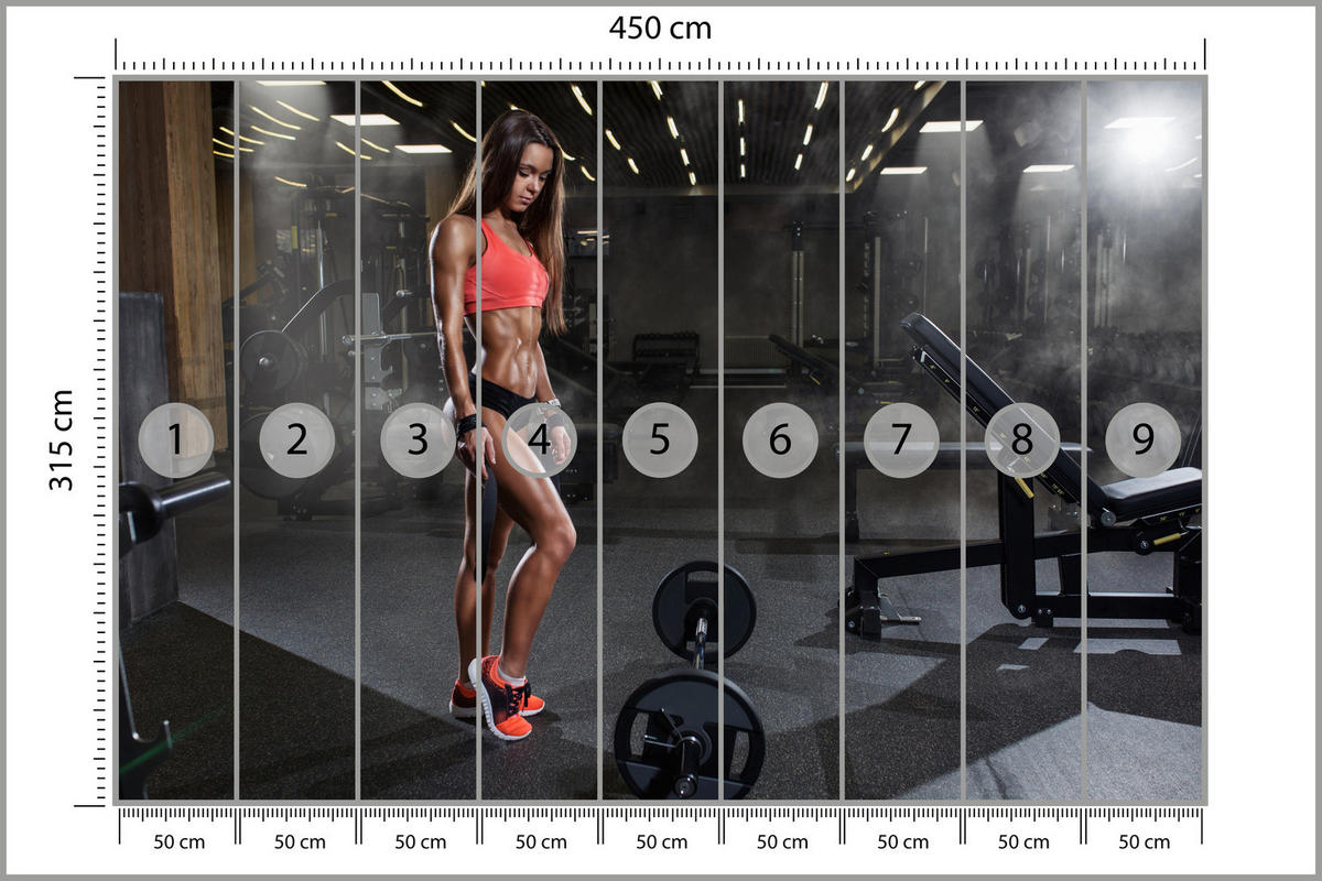 FOTOTAPETE Fit Frau Gym Langhantel Kraft Sport Fitnessstudio 450x315 - Schwarz/Braun, Papier (450/315cm) - Muralo