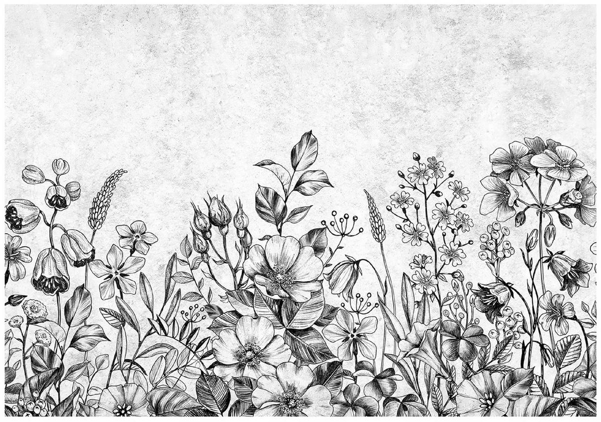FOTOTAPETE Blumen Beton Grau 368x254 cm - Multicolor, Papier (368/254cm) - Wallarena