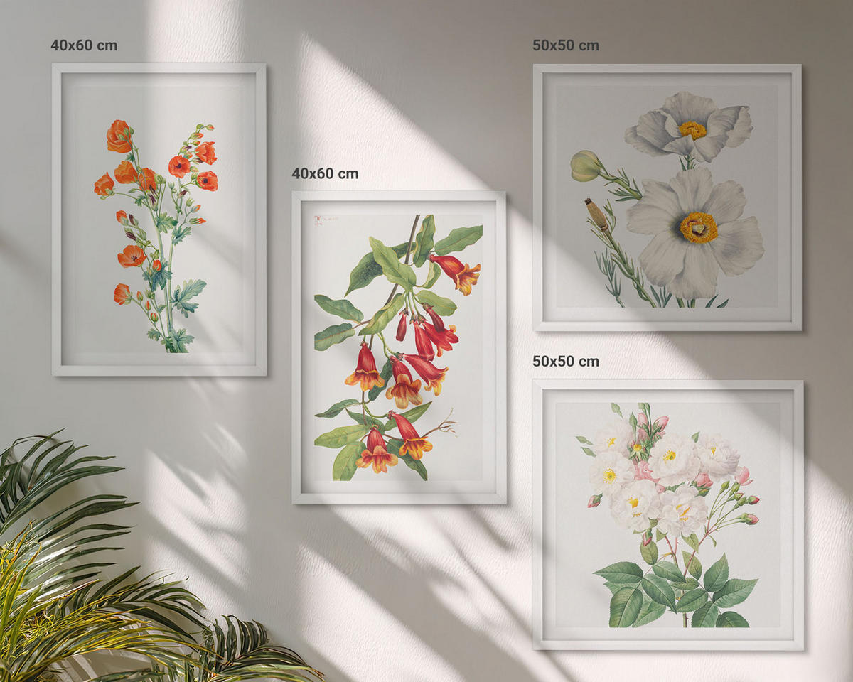 WANDBILDER 4er-Set - 50x50 cm & 40x60 cm Weißer Rahmen - Retro-Blumenmalerei - Weiß, Kunststoff (50/50cm) - ArtPrintCave