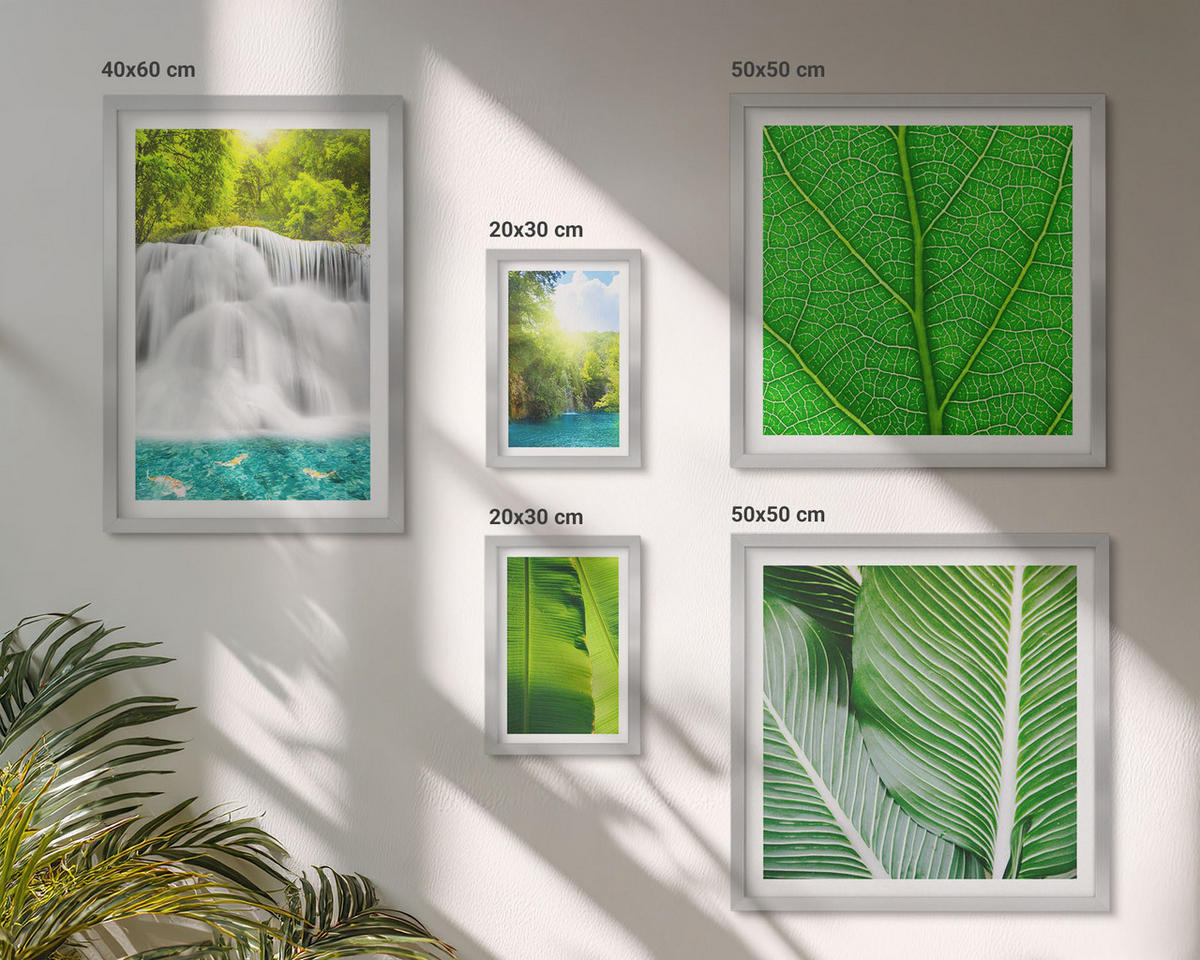 WANDBILDER 5er Set - 50x50 cm & 20x30 cm & 40x60 cm Silberner Rahmen - Nahaufnahme von tropischen Blättern - Silberfarben, Kunststoff (40/60cm) - ArtPrintCave