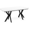 ESSTISCH Olivia ausziehbar rechteckig, Weiß 200-280/100/76 - Schwarz/Weiß, Holzwerkstoff/Metall (200/100/76cm) - WFL GROUP