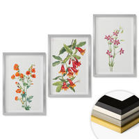 WANDBILDER 3er Set - 40x60 cm Silberner Rahmen - Vintage-Retro-Blumenmalerei - Silberfarben, Kunststoff (40/60cm) - ArtPrintCave
