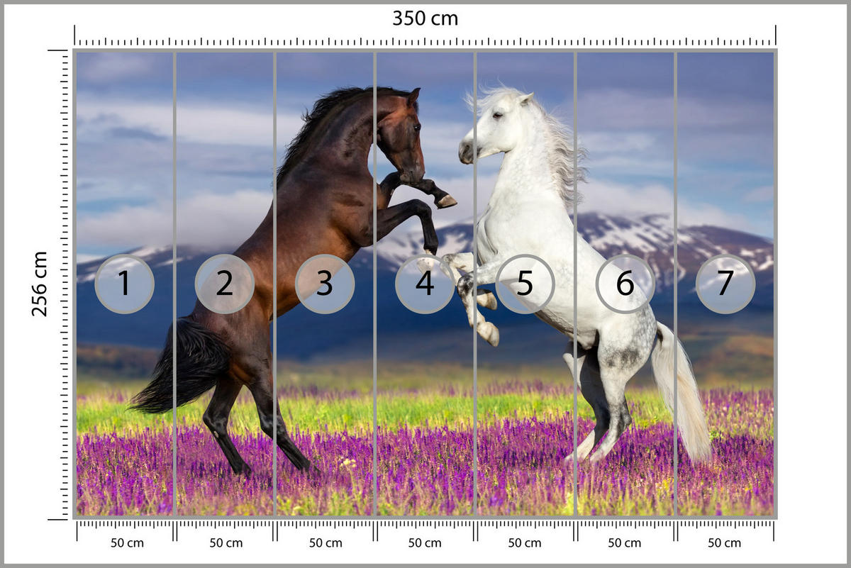 FOTOTAPETA Pre Jedáleň Kone Levanduľové Pole Hory Provensálsko 350 x 256 cm - hnedá/čierna, papier (350/256cm) - Muralo