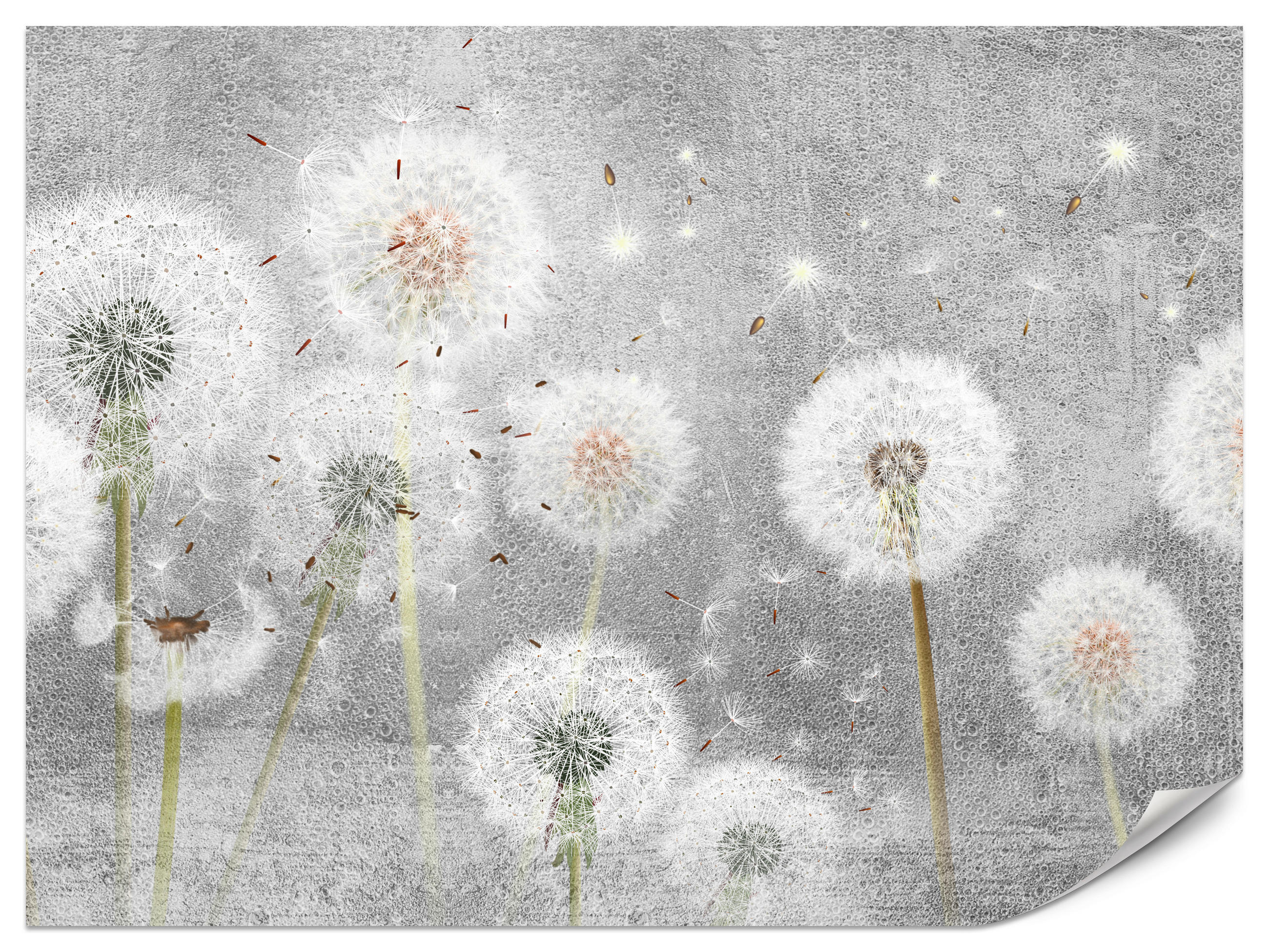 FOTOTAPETE für Schlafzimmer Retro Löwenzahn Beton Minimalistisch 450x315 - Gelb/Weiß, Papier (450/315cm) - Muralo