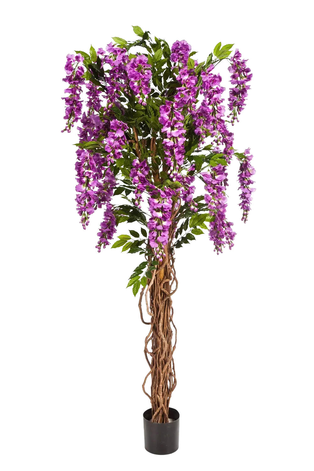 KUNSTBAUM Künstliche Wisteria Liana - Rita 180 cm - Multicolor, Kunststoff (180cm) - aplanta